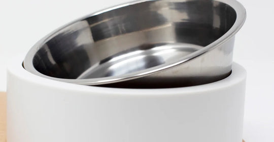 INSTACHEW - Puresteel Double Pet Bowl