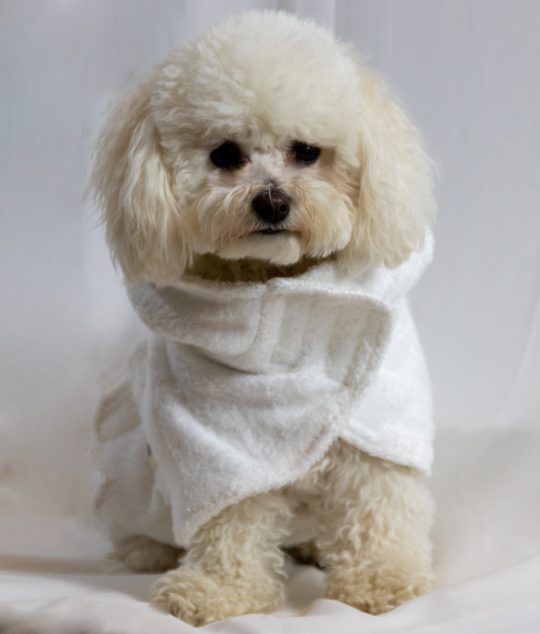 BARKSHE - Dog Drying Bathrobe