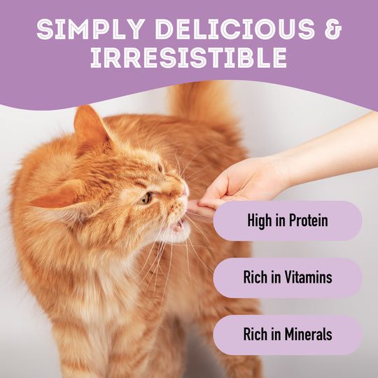 Pet Treatery - Happy Moo'D Food Dehydrated Protein Beef Liver Treat