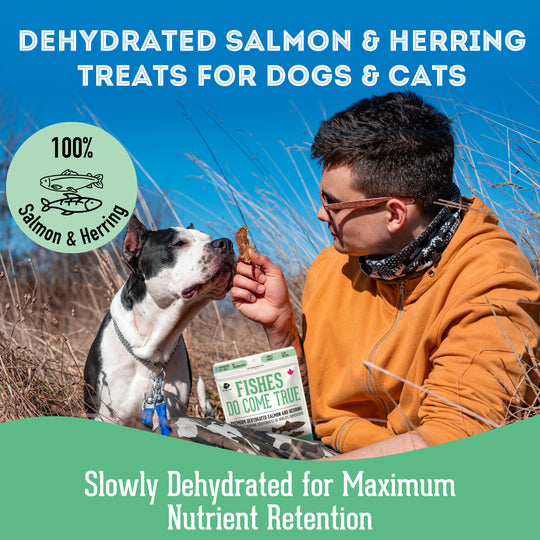 Pet Treatery - Fishes Do Come True- Premium Dehydrated Protein Wild Salmon & Herring Treat