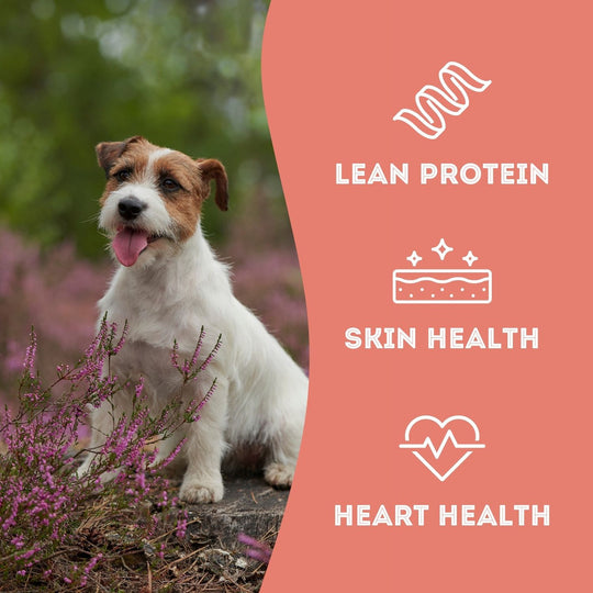 Pet Treatery - Best Treat in the Tunaverse - Premium Freeze Dried Tuna Flakes Treat