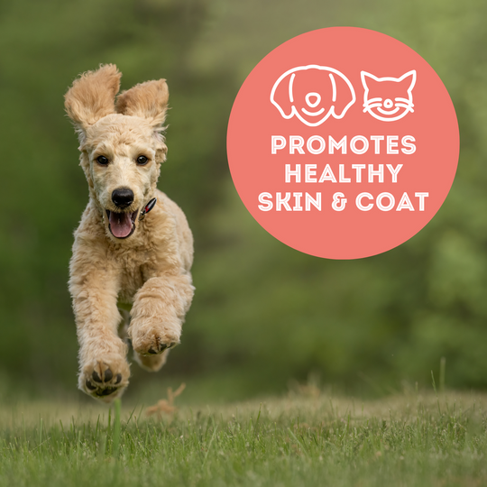 Pet Treatery - Best Treat in the Tunaverse - Premium Freeze Dried Tuna Flakes Treat