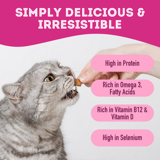 Pet Treatery - Let's Hook Up - Premium Freeze Dried Salmon Treat