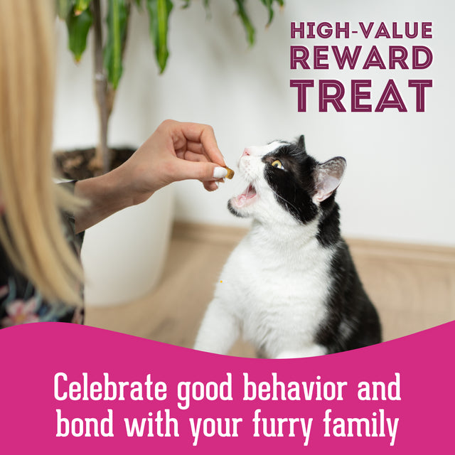 Pet Treatery - Let's Hook Up - Premium Freeze Dried Salmon Treat