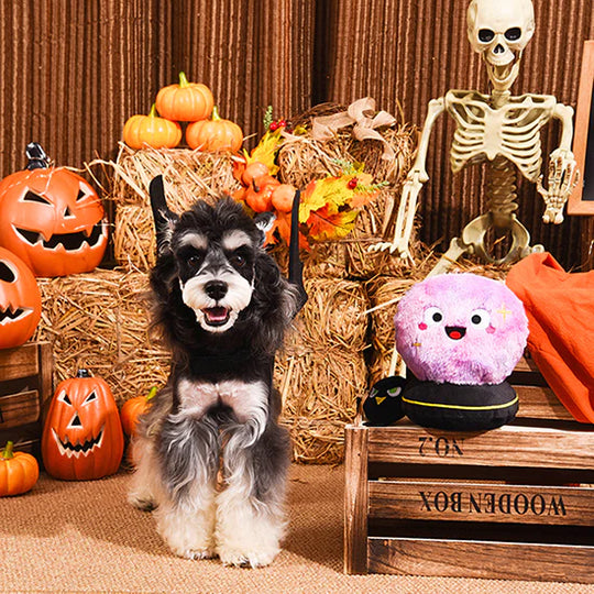 Hugsmart Pet - Witchy Dog - Crystal Ball