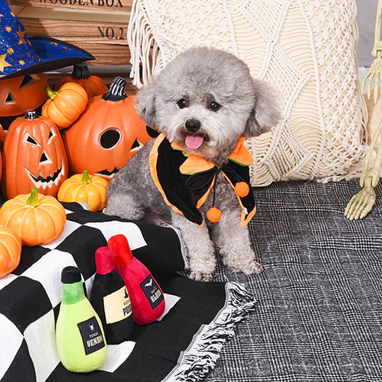 Hugsmart Pet - Howloween Night - Mystery Potion