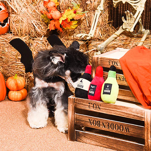 Hugsmart Pet - Howloween Night - Mystery Potion