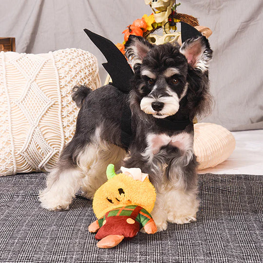 Hugsmart Pet - Howloween Night - Scarecrow