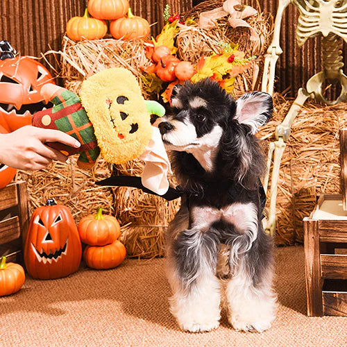 Hugsmart Pet - Howloween Night - Scarecrow
