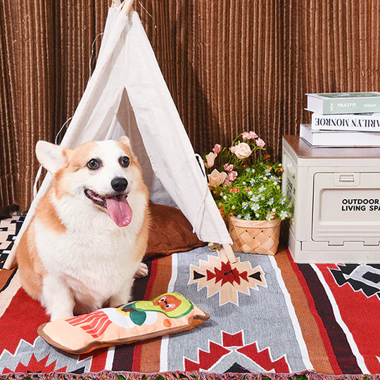 Hugsmart Pet - Avocado Collection – Avocado Toast