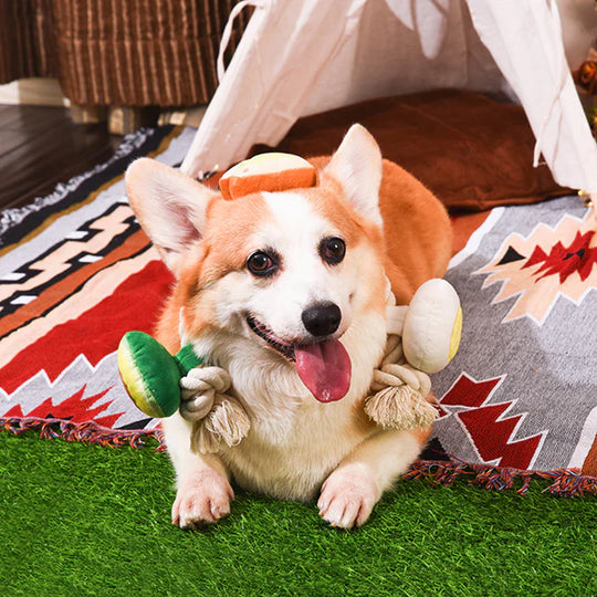 Hugsmart Pet - Avocado Collection – Toast and Egg