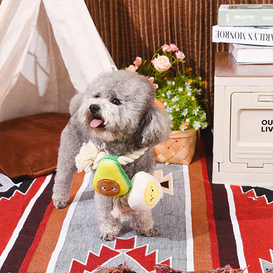 Hugsmart Pet - Avocado Collection – Toast and Egg