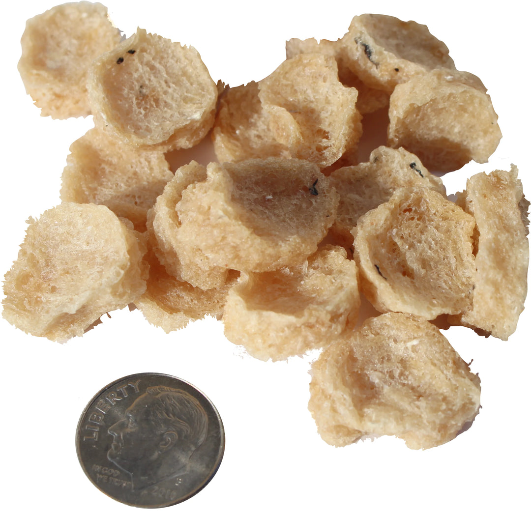 Icelandic+ - Cod Mini Fish Chip Treats For Training & Small Dogs