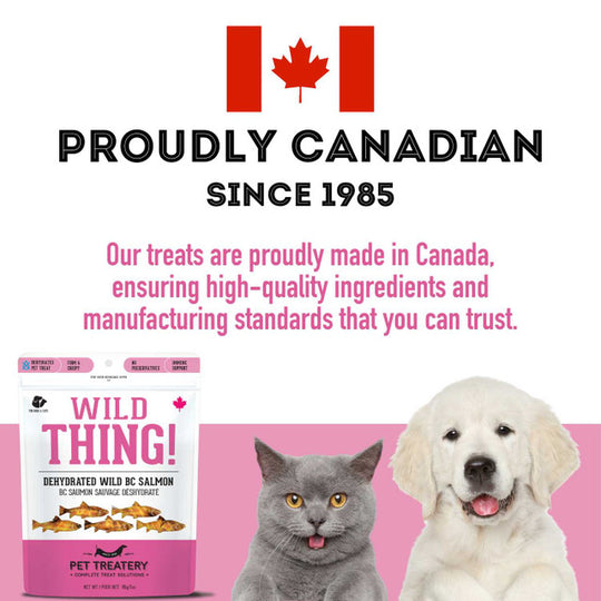 Pet Treatery - Wild Thing - Premium Dehydrated Wild Salmon Treat