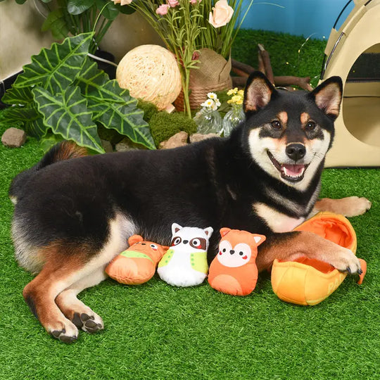 Hugsmart Pet - Camping Pups | Kayak