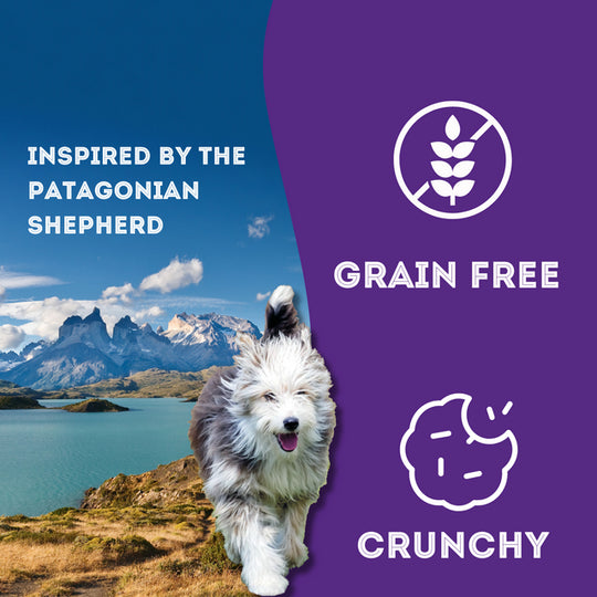 Pet Treatery - Indomitable Patagonia Grain Free Creamy Cremes Blueberry Dog Biscuits