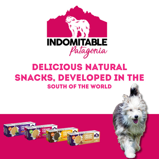 Pet Treatery - Indomitable Patagonia Grain Free Creamy Cremes Blueberry Dog Biscuits