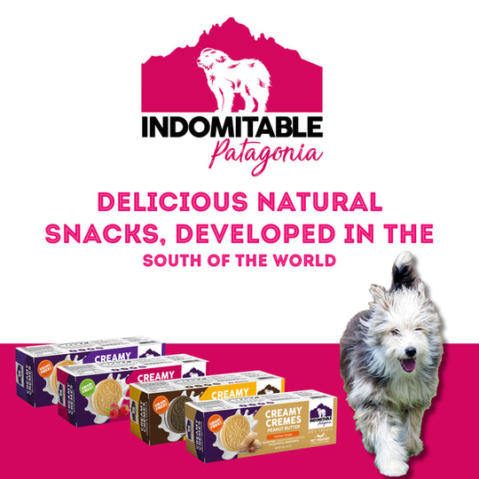 Pet Treatery - Indomitable Patagonia Grain Free Creamy Cremes Choco-Vanilla Dog Biscuits