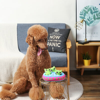 HugSmart Pet - Space Paws | Aliens
