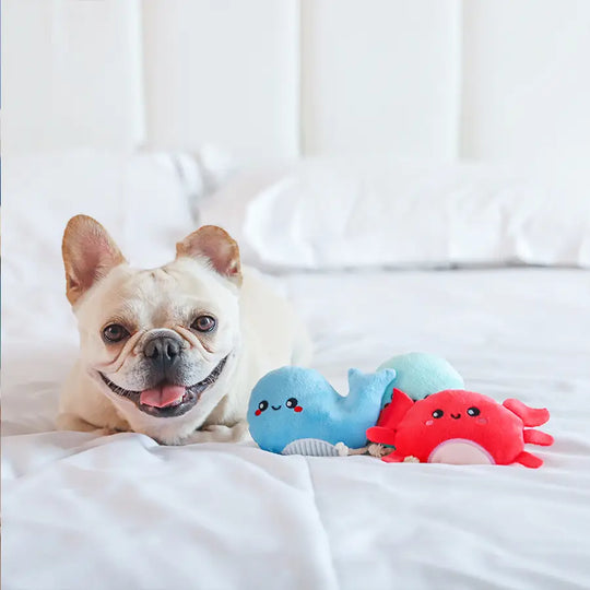HugSmart Pet - Ocean Pals | Sea Creatures
