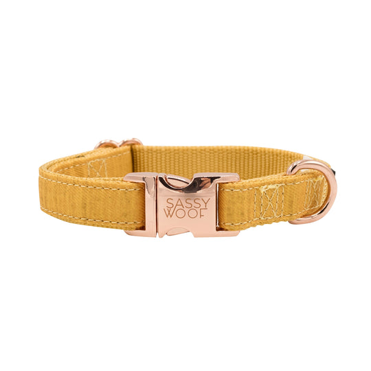 Sassy Woof - Sunflower Fields' Dog Collar