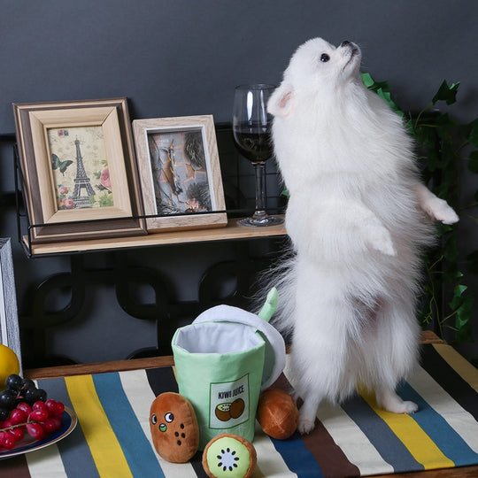 HugSmart Pet - Green Sunshine - Kiwi Juice