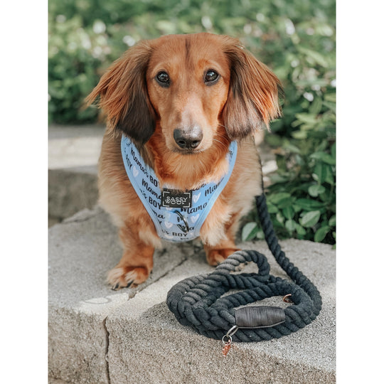 Sassy Woof - Dog Rope Leash - Noir