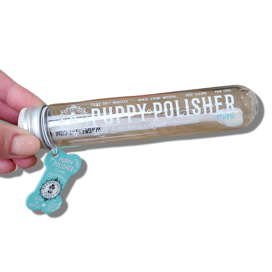 Wag & Bright - Puppy Polisher Mini Eco Toothbrush