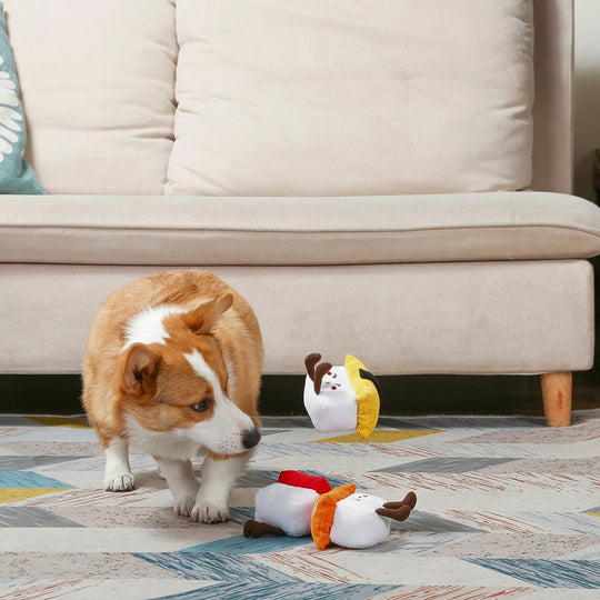 HugSmart Pet - Foodie Japan - Sushi Set