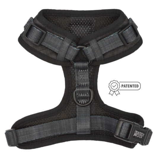 Sassy Woof - Baby got Black' Adjustable Dog Harness