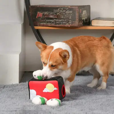 HugSmart Pet - Foodie Japan | Bento Box