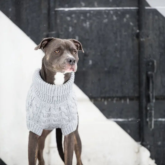 Grey Sweater#color_grey
