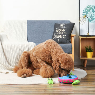 HugSmart Pet - Space Paws | Aliens