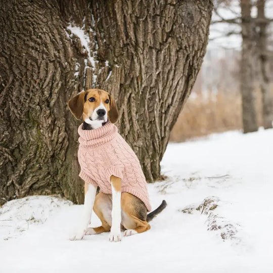 Pink Sweater#color_pink