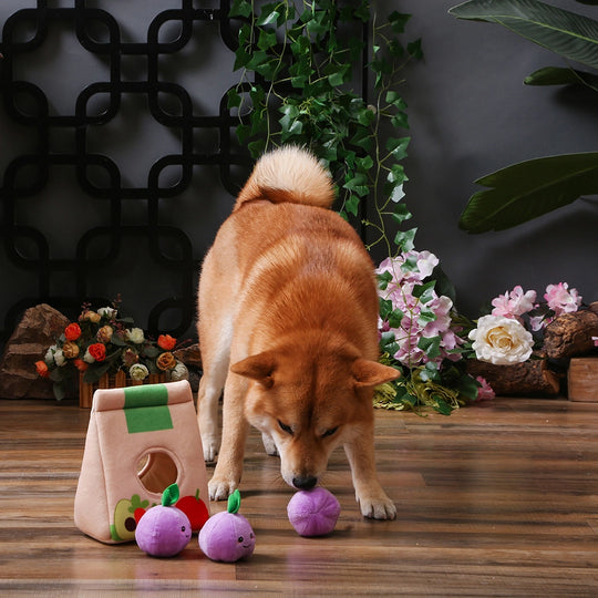 HugSmart Pet - Go Market | Grocery Bag