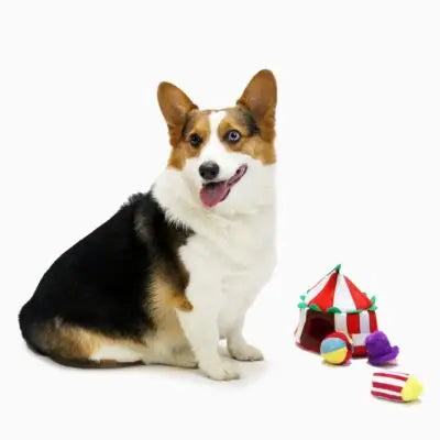 HugSmart Pet - Happy Circus | Circus