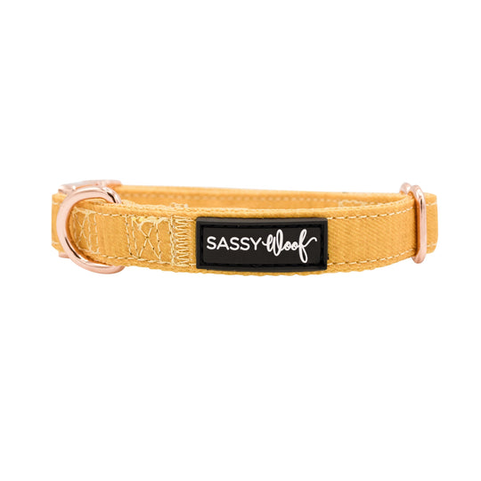 Sassy Woof - Sunflower Fields' Dog Collar