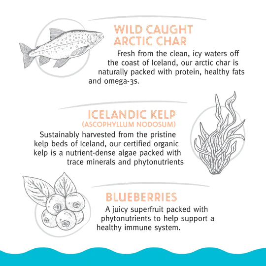 Icelandic+ - Arctic Char & Kelp Soft Chew Nibblets