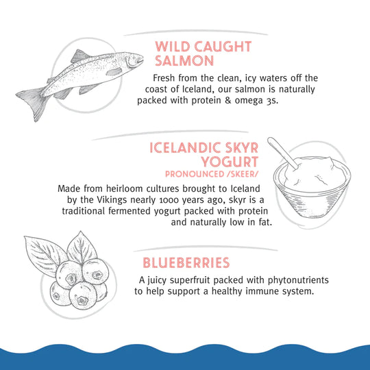 Icelandic+ - Salmon & Skyr Chewy Jerky Bars