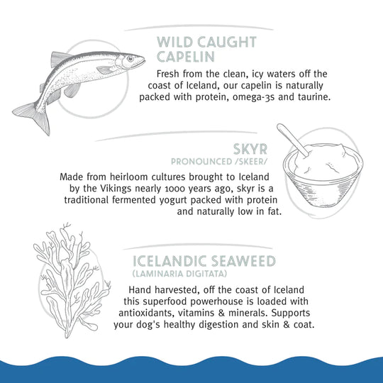 Icelandic+ - Capelin & Skyr Chewy Jerky Bars