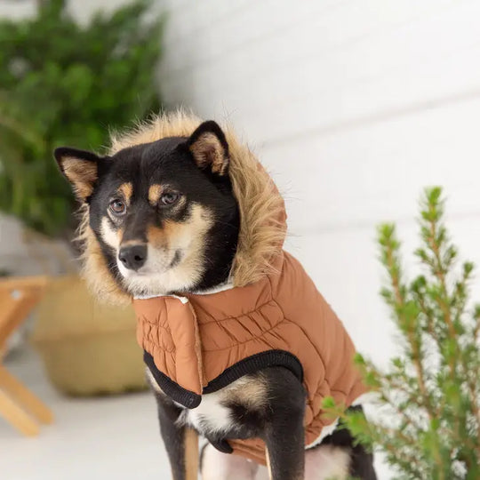 Urban Parka Caramel#color_caramel