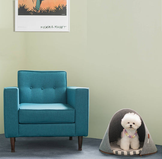 Nooee Pet - Pet Dome Milo