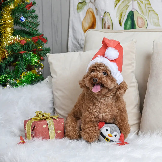 HugSmart Pet - Happy Woofmas | Penguin