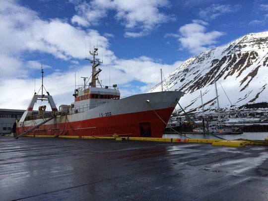 Icelandic+ - Cod Fish Chips