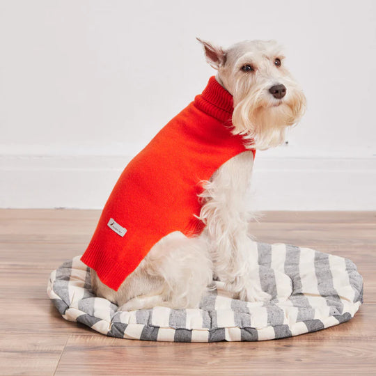 Cashmere Sweater - Red#color_red