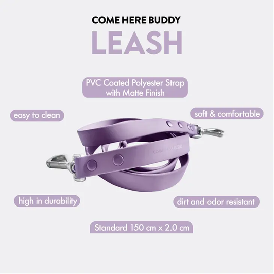 Come Here Buddy - Dog Leash