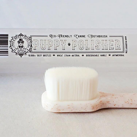 Wag & Bright - Puppy Polisher Eco Toothbrush