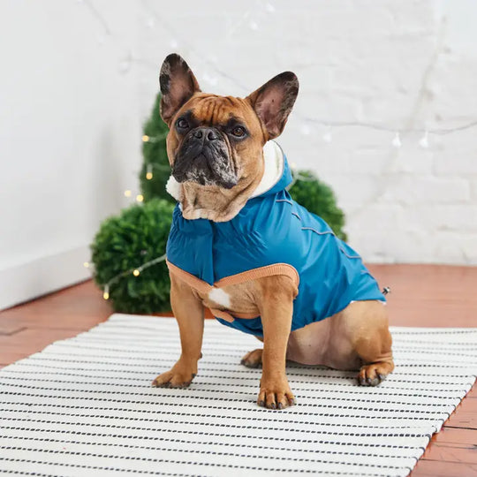 Insulated Raincoat - Hazel#color_dark-blue