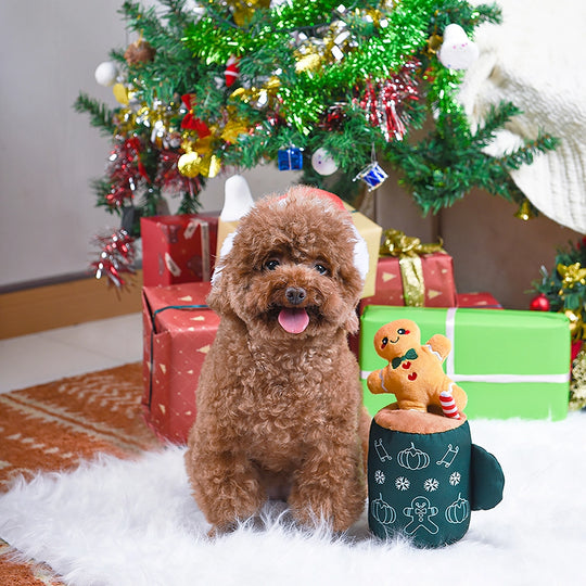 HugSmart Pet - Winter Bites | Gingerbread Latte