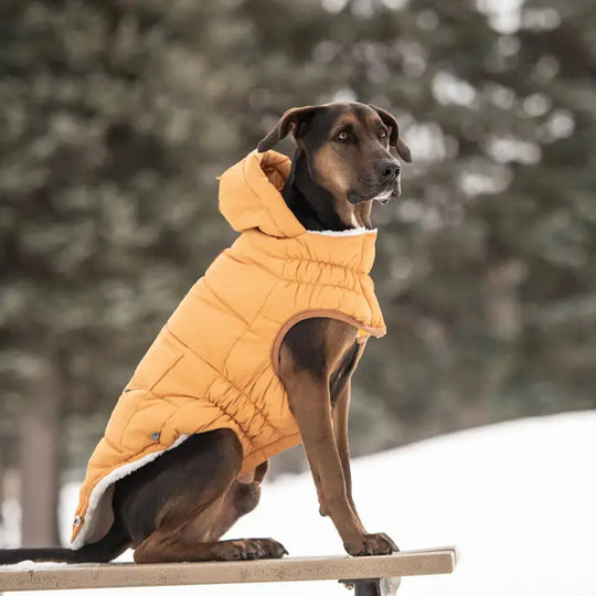 Super Puff Parka yellow#color_yellow